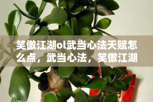 笑傲江湖ol武当心法天赋怎么点，武当心法，笑傲江湖OL中的武学精髓