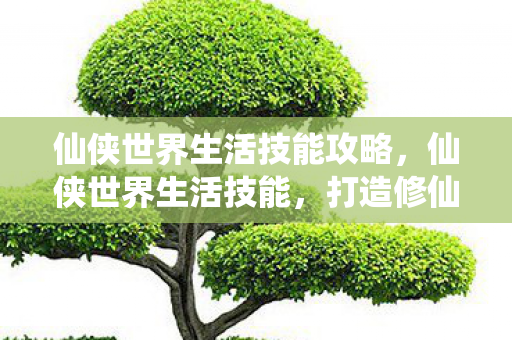 仙侠世界生活技能攻略，仙侠世界生活技能，打造修仙者的日常