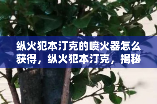 纵火犯本汀克的喷火器怎么获得,纵火犯本汀克,揭秘网络空间中的恶意破坏者 纵火犯本汀克的喷火器怎么获得,纵火犯本汀克,揭秘网络空间中的恶意破坏者