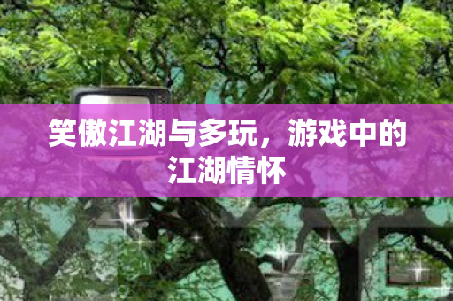 笑傲江湖与多玩,游戏中的江湖情怀 笑傲江湖与多玩,游戏中的江湖情怀