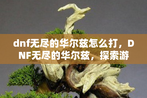 dnf无尽的华尔兹怎么打,DNF无尽的华尔兹,探索游戏世界的音乐与情感交织 dnf无尽的华尔兹怎么打,DNF无尽的华尔兹,探索游戏世界的音乐与情感交织