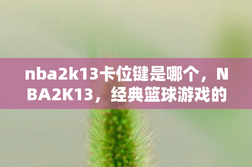 nba2k13卡位键是哪个,NBA2K13,经典篮球游戏的魅力与挑战 nba2k13卡位键是哪个,NBA2K13,经典篮球游戏的魅力与挑战
