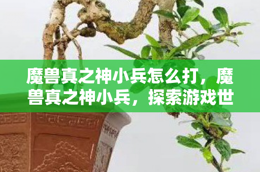 魔兽真之神小兵怎么打,魔兽真之神小兵,探索游戏世界的无尽奥秘 魔兽真之神小兵怎么打,魔兽真之神小兵,探索游戏世界的无尽奥秘
