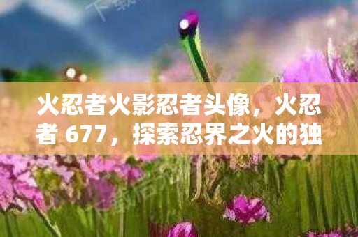 火忍者火影忍者头像,火忍者 677,探索忍界之火的独特魅力 火忍者火影忍者头像,火忍者 677,探索忍界之火的独特魅力
