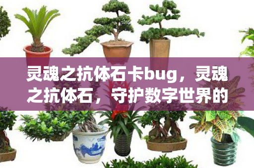 灵魂之抗体石卡bug,灵魂之抗体石,守护数字世界的坚固盾牌 灵魂之抗体石卡bug,灵魂之抗体石,守护数字世界的坚固盾牌
