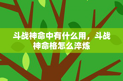 斗战神命中有什么用,斗战神命格怎么淬炼 斗战神命中有什么用,斗战神命格怎么淬炼