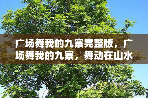 广场舞我的九寨完整版，广场舞我的九寨，舞动在山水间的民族风情