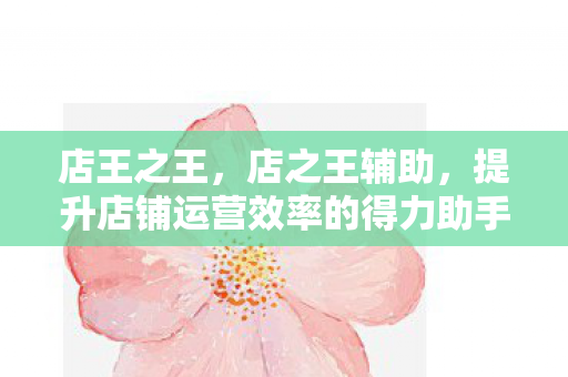 店王之王,店之王辅助,提升店铺运营效率的得力助手 店王之王,店之王辅助,提升店铺运营效率的得力助手