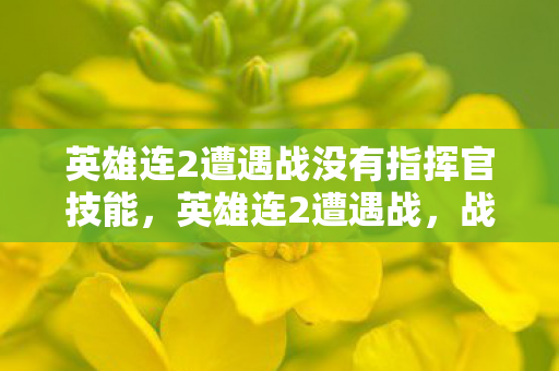 英雄连2遭遇战没有指挥官技能,英雄连2遭遇战,战术与策略的深度剖析 英雄连2遭遇战没有指挥官技能,英雄连2遭遇战,战术与策略的深度剖析