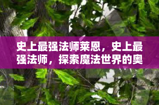 史上最强法师莱恩,史上最强法师,探索魔法世界的奥秘 史上最强法师莱恩,史上最强法师,探索魔法世界的奥秘