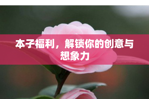 本子福利，解锁你的创意与想象力