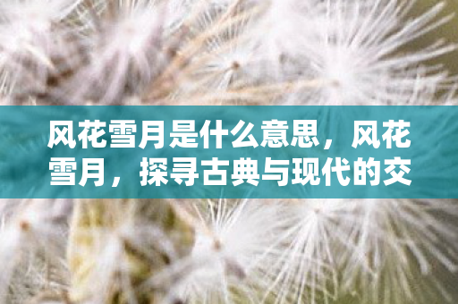 风花雪月是什么意思，风花雪月，探寻古典与现代的交织之美