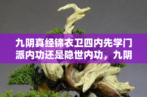 九阴真经锦衣卫四内先学门派内功还是隐世内功，九阴真经锦衣卫四内，揭秘武林的隐秘力量