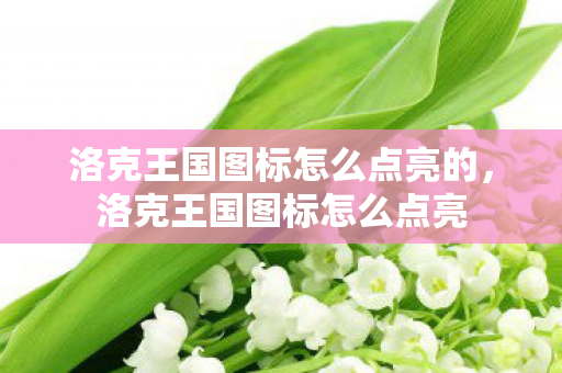 洛克王国图标怎么点亮的，洛克王国图标怎么点亮