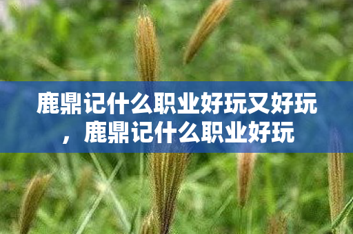 鹿鼎记什么职业好玩又好玩，鹿鼎记什么职业好玩