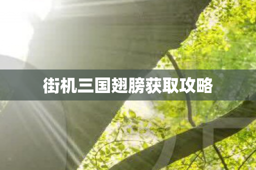 街机三国翅膀获取攻略 街机三国翅膀获取攻略