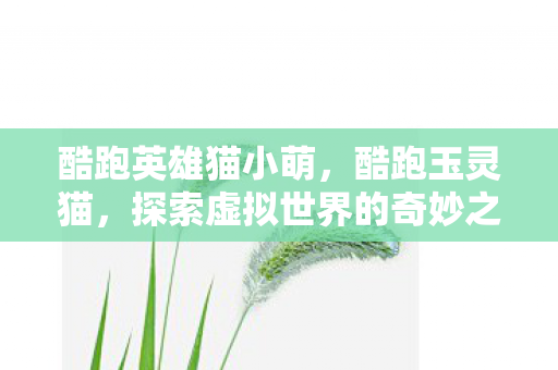 酷跑英雄猫小萌，酷跑玉灵猫，探索虚拟世界的奇妙之旅