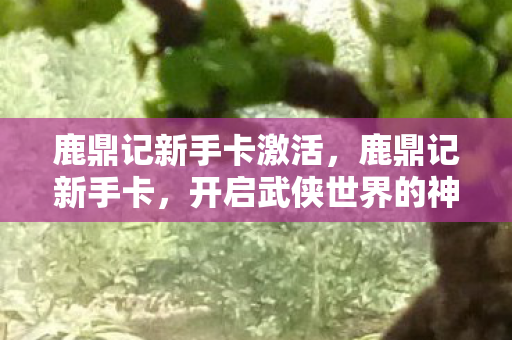 鹿鼎记新手卡激活,鹿鼎记新手卡,开启武侠世界的神秘钥匙 鹿鼎记新手卡激活,鹿鼎记新手卡,开启武侠世界的神秘钥匙