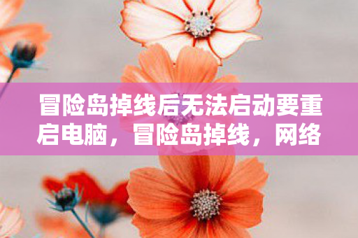 冒险岛掉线后无法启动要重启电脑图片