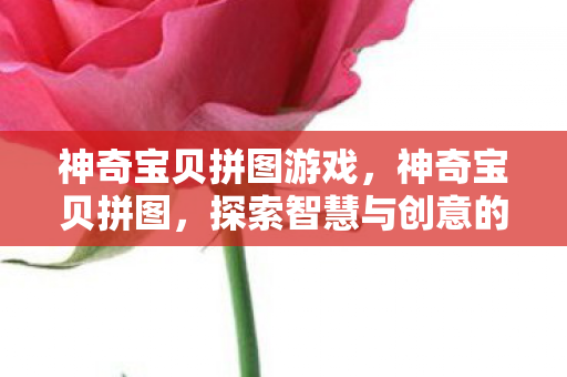 神奇宝贝拼图游戏,神奇宝贝拼图,探索智慧与创意的无限可能 神奇宝贝拼图游戏,神奇宝贝拼图,探索智慧与创意的无限可能
