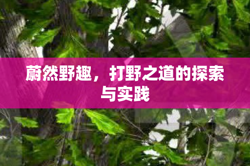 蔚然野趣,打野之道的探索与实践 蔚然野趣,打野之道的探索与实践