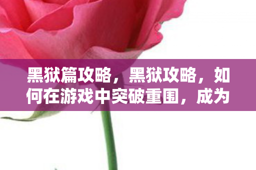 黑狱篇攻略,黑狱攻略,如何在游戏中突破重围,成为顶尖玩家 黑狱篇攻略,黑狱攻略,如何在游戏中突破重围,成为顶尖玩家
