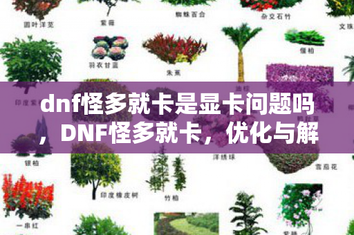 dnf怪多就卡是显卡问题吗,DNF怪多就卡,优化与解决策略 dnf怪多就卡是显卡问题吗,DNF怪多就卡,优化与解决策略