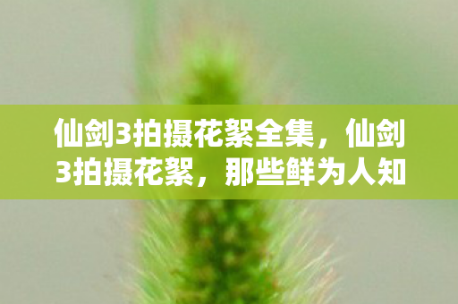 仙剑3拍摄花絮全集,仙剑3拍摄花絮,那些鲜为人知的故事 仙剑3拍摄花絮全集,仙剑3拍摄花絮,那些鲜为人知的故事
