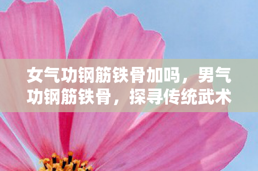女气功钢筋铁骨加吗,男气功钢筋铁骨,探寻传统武术的奥秘与力量 女气功钢筋铁骨加吗,男气功钢筋铁骨,探寻传统武术的奥秘与力量