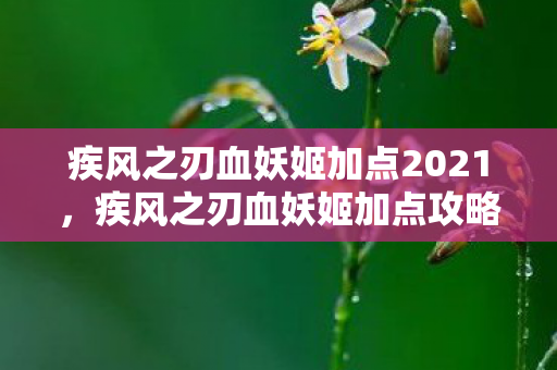 疾风之刃血妖姬加点2021,疾风之刃血妖姬加点攻略,打造最强输出角色 疾风之刃血妖姬加点2021,疾风之刃血妖姬加点攻略,打造最强输出角色