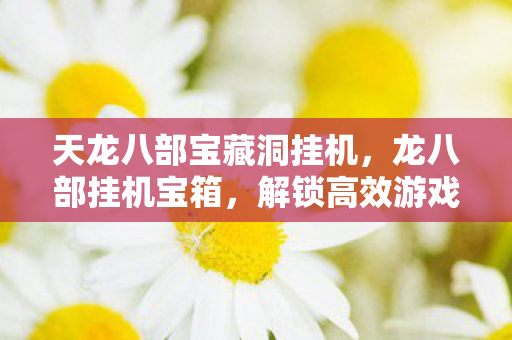 天龙八部宝藏洞挂机，龙八部挂机宝箱，解锁高效游戏进程的必备神器