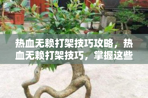 热血无赖打架技巧攻略，热血无赖打架技巧，掌握这些技巧，让你在街头争霸中立于不败之地