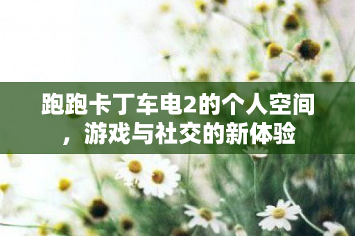 跑跑卡丁车电2的个人空间,游戏与社交的新体验 跑跑卡丁车电2的个人空间,游戏与社交的新体验