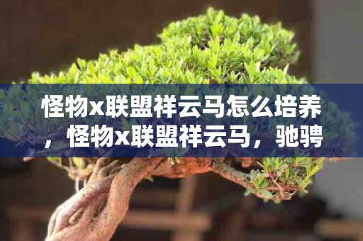 怪物x联盟祥云马怎么培养,怪物x联盟祥云马,驰骋奇幻世界的梦幻坐骑 怪物x联盟祥云马怎么培养,怪物x联盟祥云马,驰骋奇幻世界的梦幻坐骑