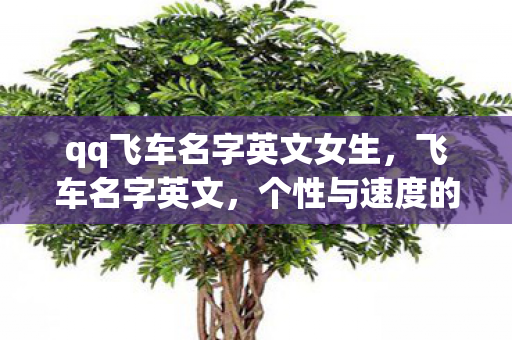 qq飞车名字英文女生,飞车名字英文,个性与速度的碰撞 qq飞车名字英文女生,飞车名字英文,个性与速度的碰撞