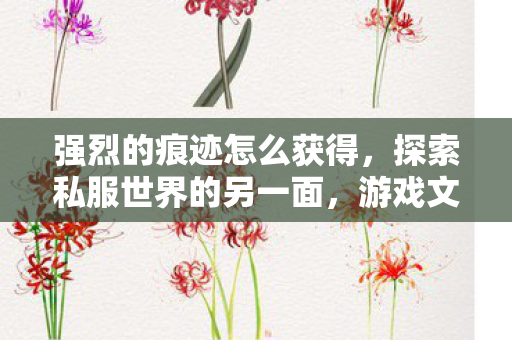 强烈的痕迹怎么获得,探索私服世界的另一面,游戏文化的独特魅力与玩家社群 强烈的痕迹怎么获得,探索私服世界的另一面,游戏文化的独特魅力与玩家社群