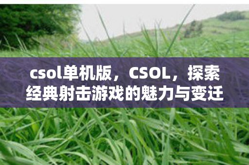 csol单机版,CSOL,探索经典射击游戏的魅力与变迁 csol单机版,CSOL,探索经典射击游戏的魅力与变迁