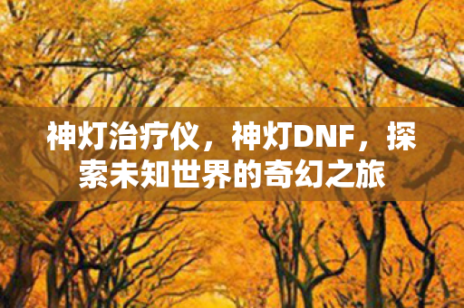 神灯治疗仪，神灯DNF，探索未知世界的奇幻之旅