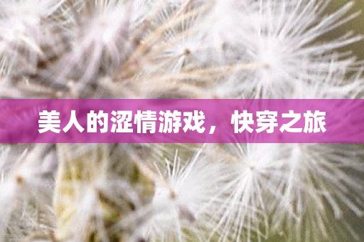 美人的涩情游戏,快穿之旅 美人的涩情游戏,快穿之旅