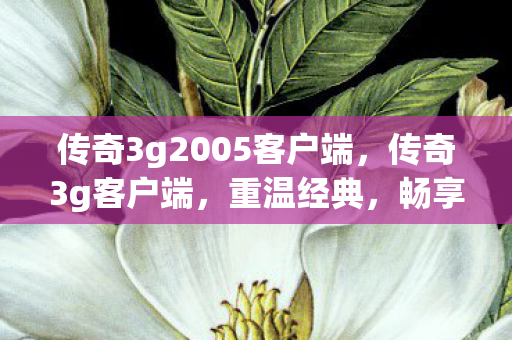 传奇3g2005客户端,传奇3g客户端,重温经典,畅享游戏新体验 传奇3g2005客户端,传奇3g客户端,重温经典,畅享游戏新体验