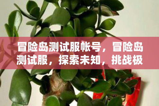 冒险岛测试服帐号,冒险岛测试服,探索未知,挑战极限 冒险岛测试服帐号,冒险岛测试服,探索未知,挑战极限