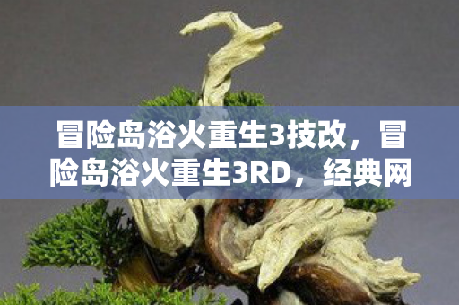 冒险岛浴火重生3技改,冒险岛浴火重生3RD,经典网游的革新之旅 冒险岛浴火重生3技改,冒险岛浴火重生3RD,经典网游的革新之旅