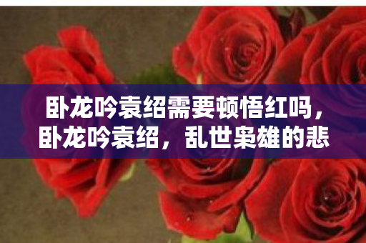 卧龙吟袁绍需要顿悟红吗，卧龙吟袁绍，乱世枭雄的悲情人生