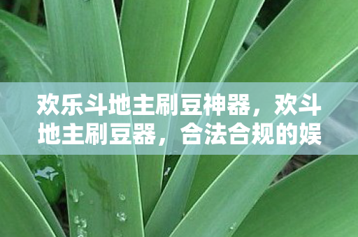 欢乐斗地主刷豆神器,欢斗地主刷豆器,合法合规的娱乐工具 欢乐斗地主刷豆神器,欢斗地主刷豆器,合法合规的娱乐工具