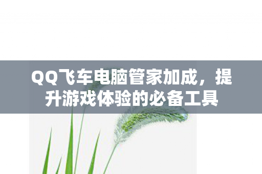 QQ飞车电脑管家加成,提升游戏体验的必备工具 QQ飞车电脑管家加成,提升游戏体验的必备工具
