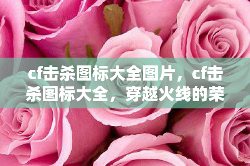 cf击杀图标大全图片,cf击杀图标大全,穿越火线的荣耀瞬间 cf击杀图标大全图片,cf击杀图标大全,穿越火线的荣耀瞬间
