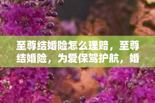 至尊结婚险怎么理赔,至尊结婚险,为爱保驾护航,婚姻中的全面保障 至尊结婚险怎么理赔,至尊结婚险,为爱保驾护航,婚姻中的全面保障