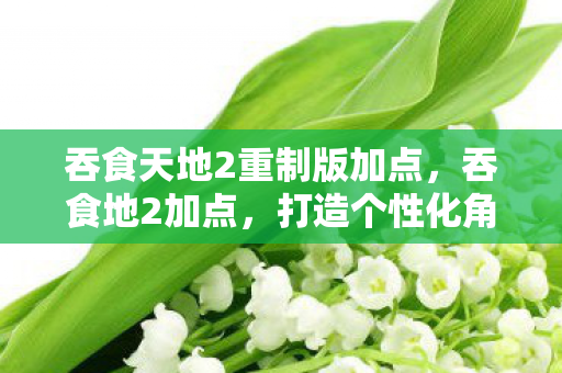 吞食天地2重制版加点,吞食地2加点,打造个性化角色,畅游奇幻世界 吞食天地2重制版加点,吞食地2加点,打造个性化角色,畅游奇幻世界