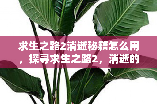 求生之路2消逝秘籍怎么用,探寻求生之路2,消逝的隐藏秘籍 求生之路2消逝秘籍怎么用,探寻求生之路2,消逝的隐藏秘籍
