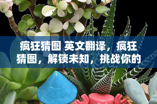 疯狂猜图 英文翻译,疯狂猜图,解锁未知,挑战你的想象力 疯狂猜图 英文翻译,疯狂猜图,解锁未知,挑战你的想象力